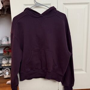 aerie Dark Plum Hoodie Sweatshirt